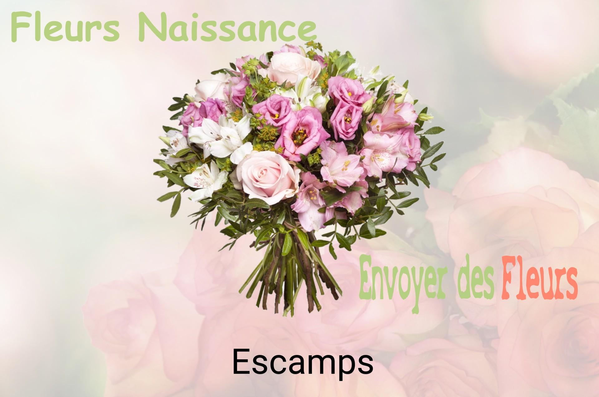Bouquet de fleurs de naissance livré à Escamps